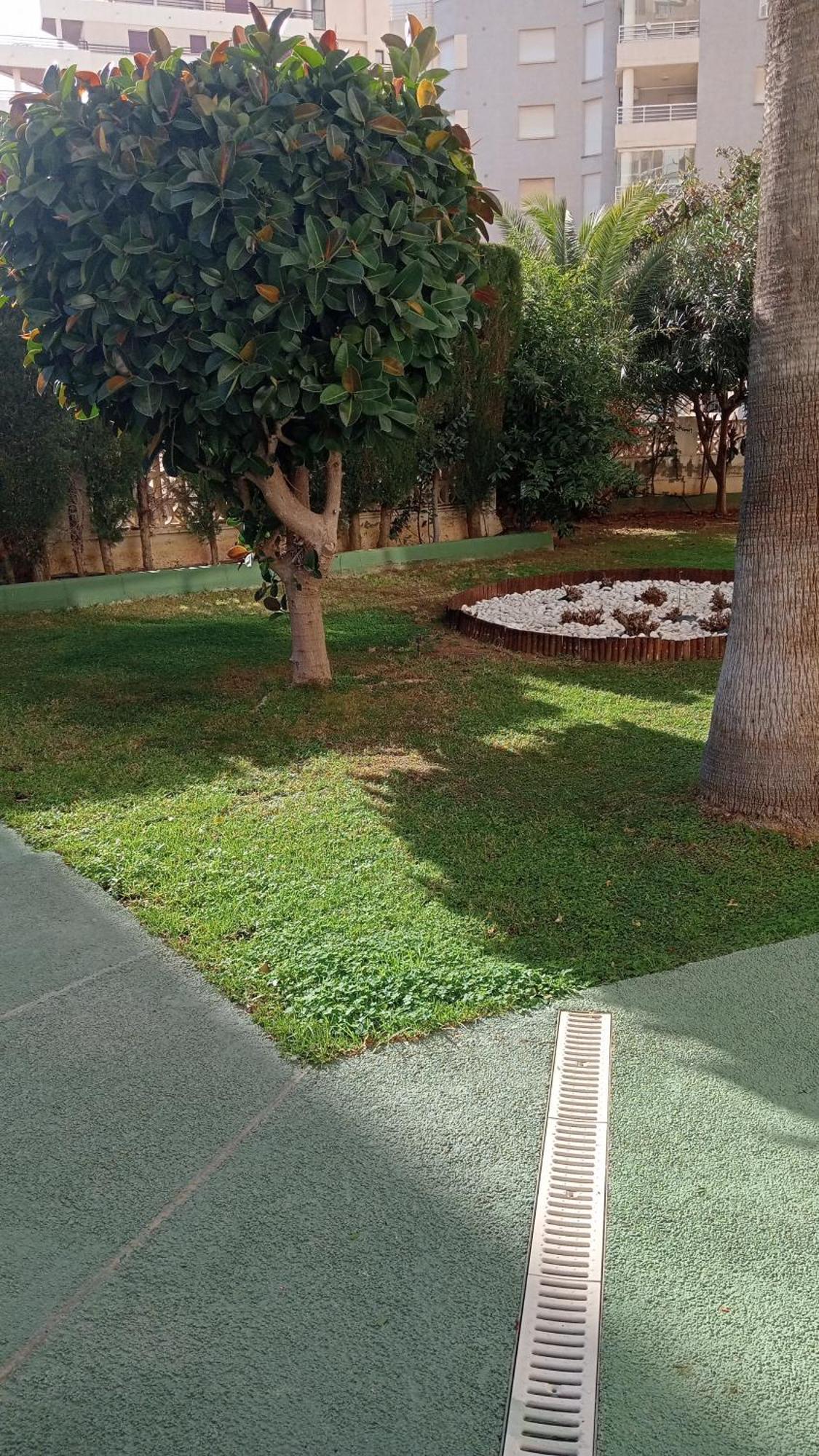 Rosa De Los Vientos Calp Dış mekan fotoğraf
